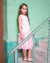 Load image into Gallery viewer, PINK BEADED FEATHER DRESS
